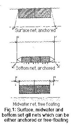 GILL NETS