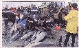 pp2cd70527.jpg