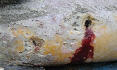 pp65244304.jpg