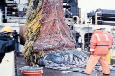 ppe64e86e1.jpg