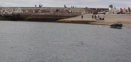 brixhamslipwaytwoodley.jpg