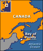 canada_bay_of_fundy.gif