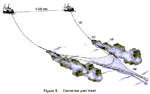 demersalpairtrawlscotexec4.gif