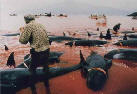 faroe-pilothunt-31-sb-000.jpg