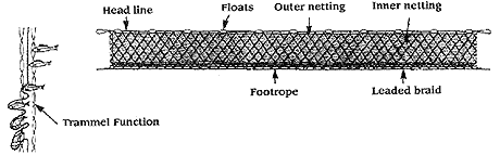 TRAMMEL NETS