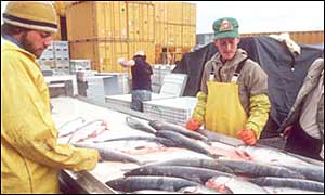 fishermen_alaskabbcpfix.jpg