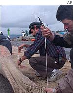 fishingind_devastated__ap.jpg