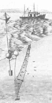 gillnets.jpg