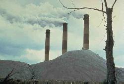 michiganincinerator.jpg