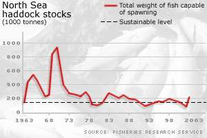 northsea_haddock_graph300.gif