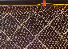 TRAMMEL NETS