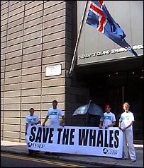 savethewhalesifaw_ifaw_2003.jpg