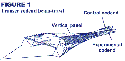 shrimpbeam-trawlselectivity-.gif