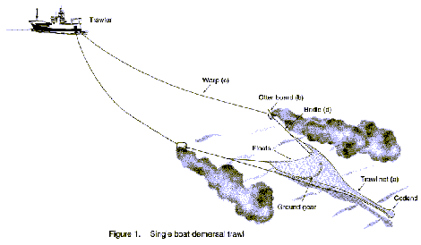 Profile of the UK Fishing Fleet