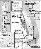 telegraphsakhalinlocatorwwhale17.gif