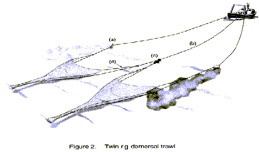 twinrigdemtrawlscotexec2.gif