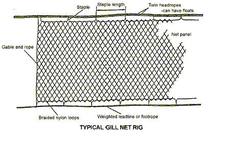 Drift nets gill nets tangle nets and trammel nets