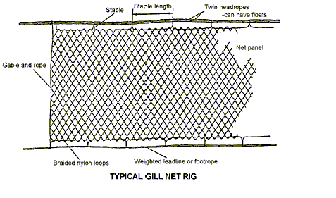 typicalgillnetrigscotexec.gif