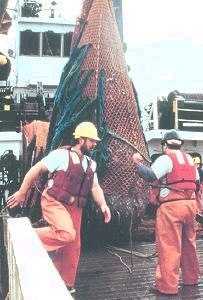 usfisheriesresearchcod_endnoaa.jpg